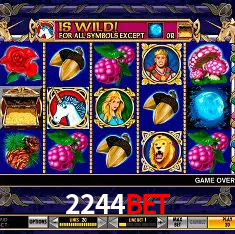2244bet Salvador - Bonus Stats